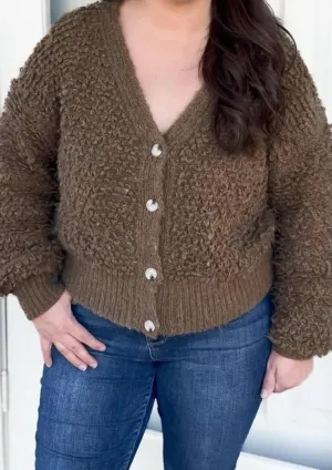 Lainey Sweater Cardigan In Brown